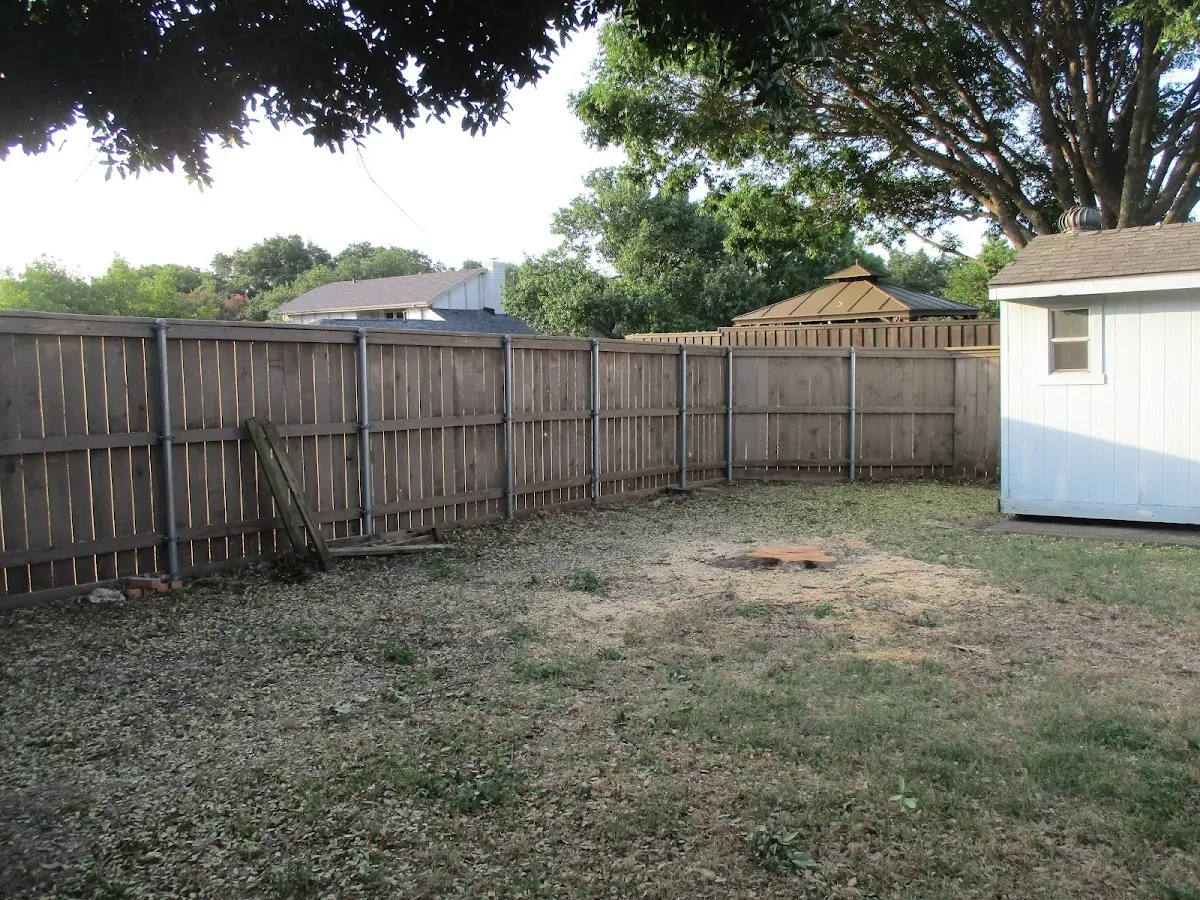 Cleared yard after professional tree removal in Saint Pauls